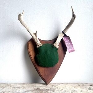 4 Point Whitetail Deer Antler Rack Handcrafted Green Felt Wood Plaque Michigan
